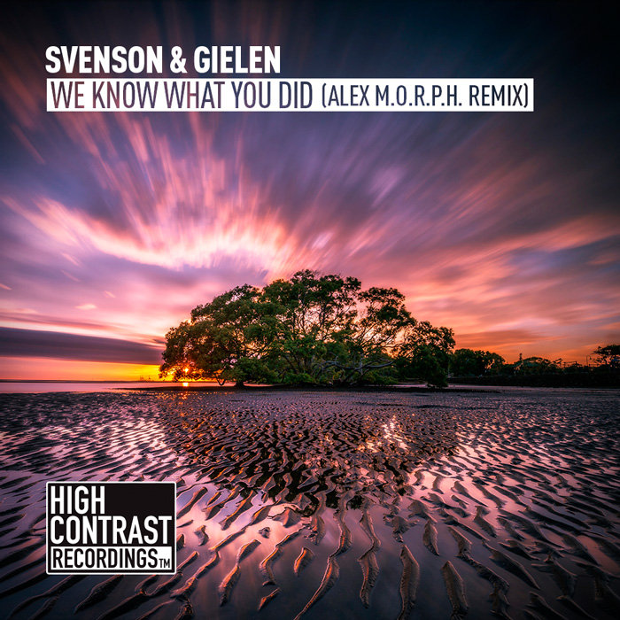 Svenson & Gielen - We Know What You Did (Alex M.O.R.P.H. Remix)