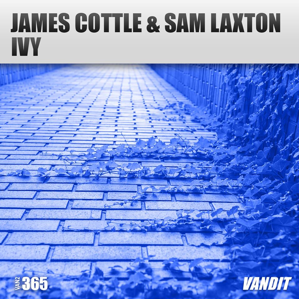 James Cottle & Sam Laxton - Ivy