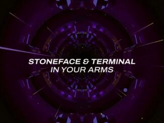 Stoneface & Terminal - In Your Arms